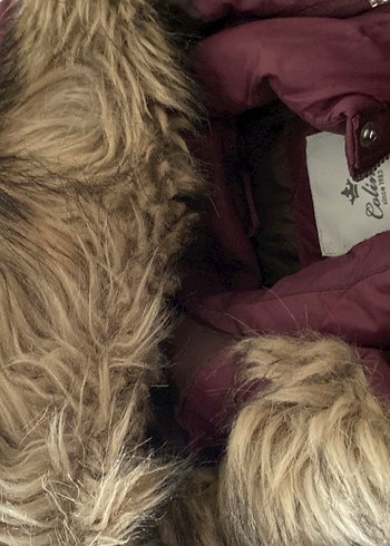 Colin's Bordo Kadın Kürklü Midi Mont