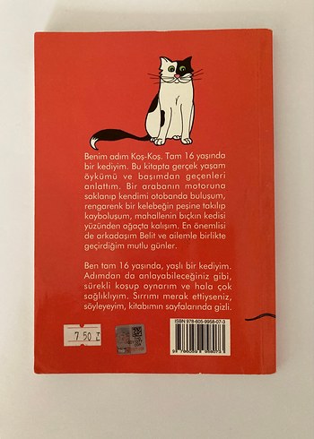  Saşkın Kedi Koş-Koş Çocuk Kitabı