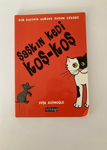 Saşkın Kedi Koş-Koş Çocuk Kitabı