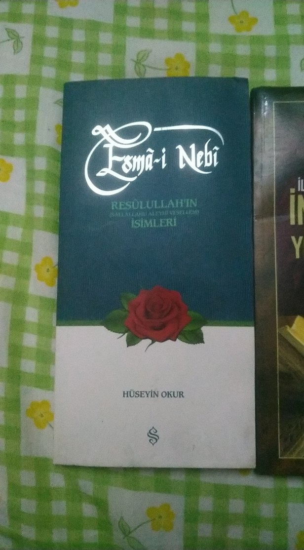 4 Kitap Seti: Edebiyat ve Yönetim - Görsel 2