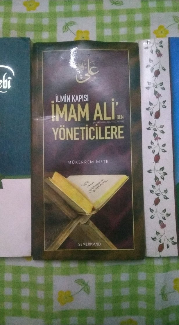 4 Kitap Seti: Edebiyat ve Yönetim - Görsel 3