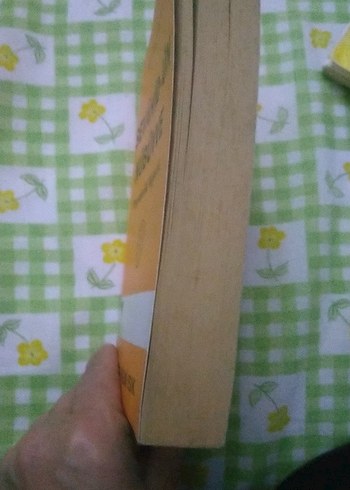 Şevâhid-ün Nübuvve - Peygamberlik Müjdeleri Kitabı - Görsel 3