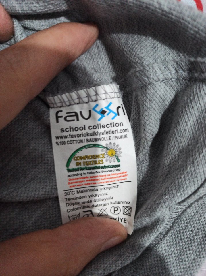 Gri Kısa Kollu Erkek Polo Tişört - Görsel 3