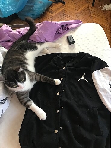 puma kolej ceket