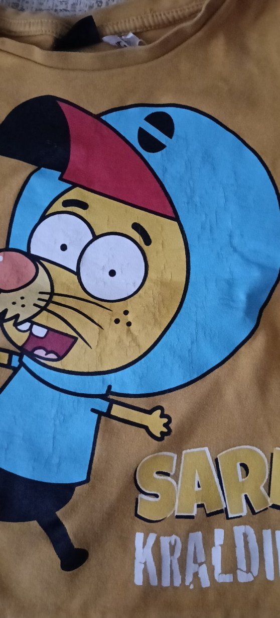 Baskılı Erkek Sweatshirt - Görsel 3