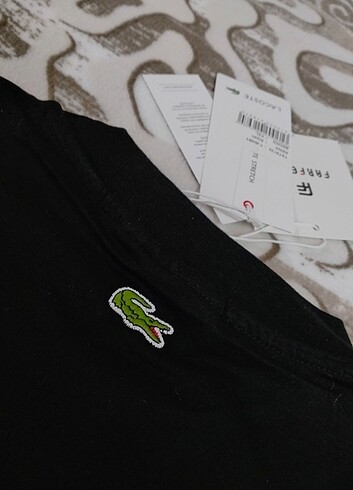 Lacoste LACOSTE 24/1 PAMUK T-SHIRT