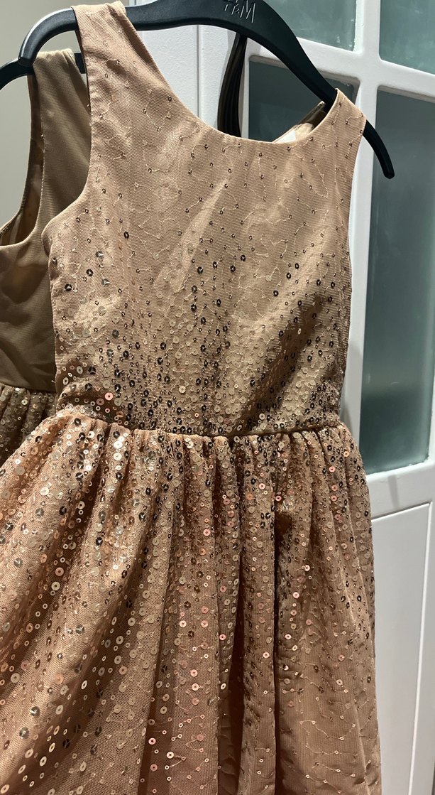 Kız Çocuk Bej İşlemeli Kolsuz Elbise - Görsel 2