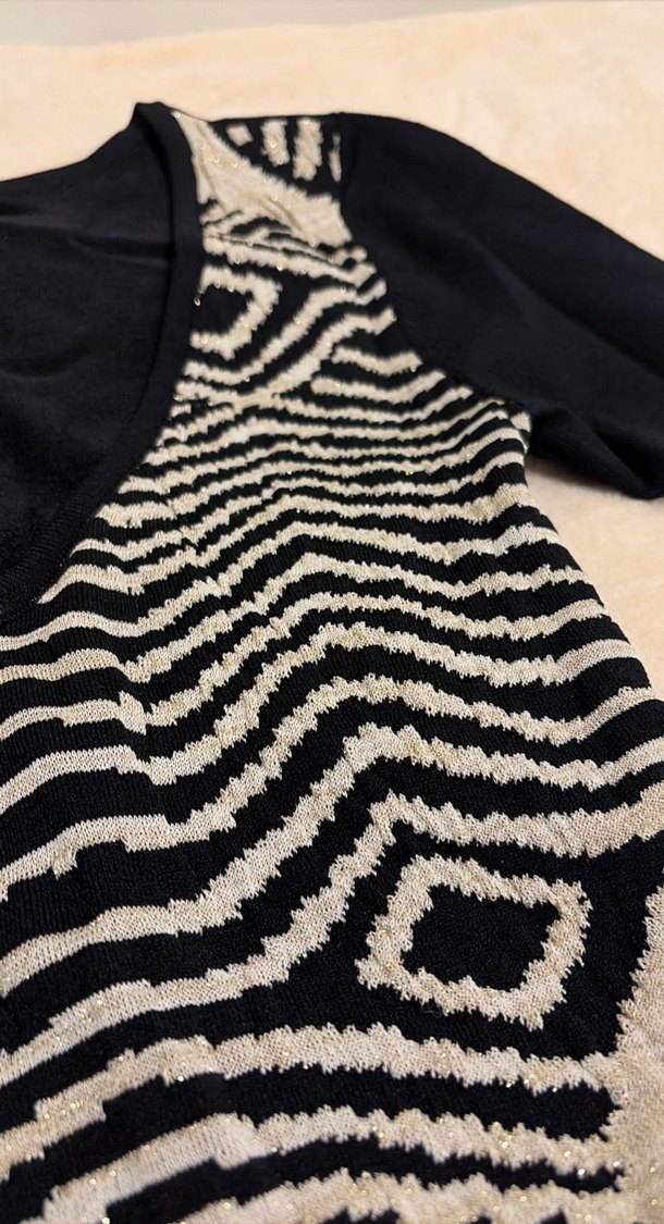 Zebra Desenli Uzun Kollu Siyah V Yaka Elbise - Görsel 3