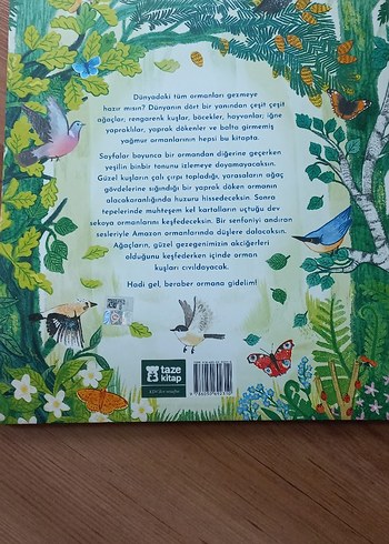 Hadi Ormana Gidelim - Çocuk Kitabı - Görsel 2