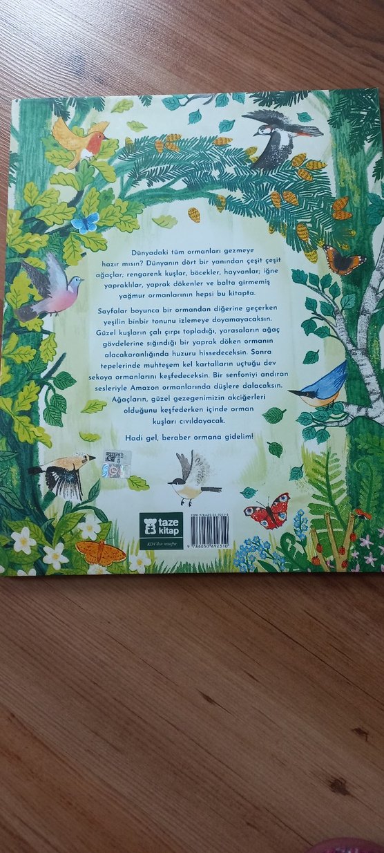Hadi Ormana Gidelim - Çocuk Kitabı - Görsel 2