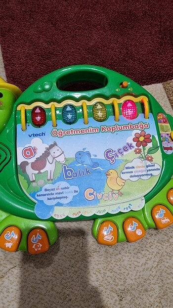 Beden Egitici sesli oyuncak