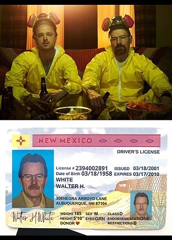 Breaking Bad Kimlik Kartları 
