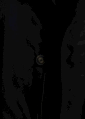 Barbour wax tarzı Massimo Dutti kaban - Görsel 3