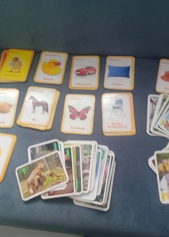 Beden Sarı Eğitici Kartlar Seti