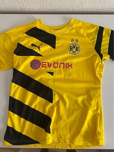 2015 dortmund reus forma
