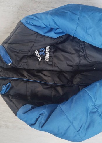 Mavi Kızak Montu, Fermuarlı, Dar Kesim - Görsel 3