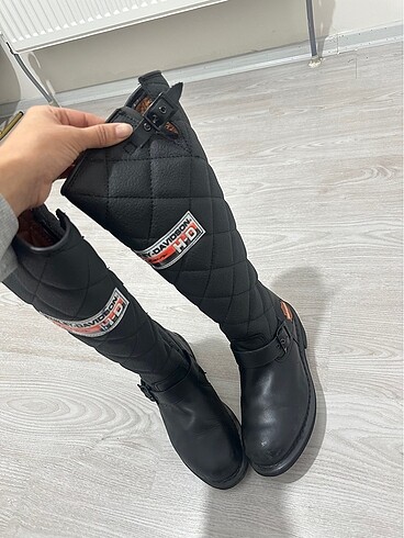 Harley Davidson Harley Davidson