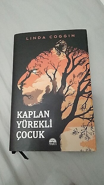  ciltli kitap
