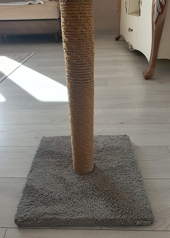 Gri Kedi Tırmalama Direği - Görsel 2