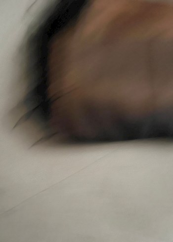 Kahverengi İpek Görünümlü Kadın Şal - Görsel 2