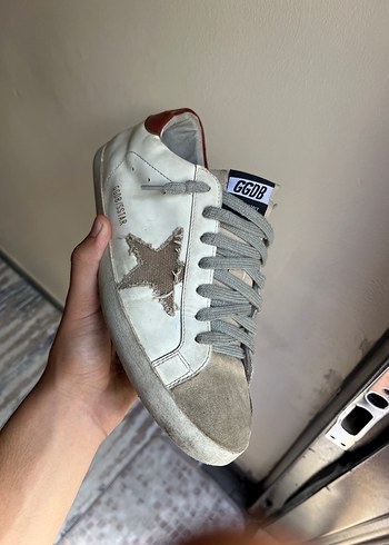 Orjinal golden gouse 43 no - Görsel 2