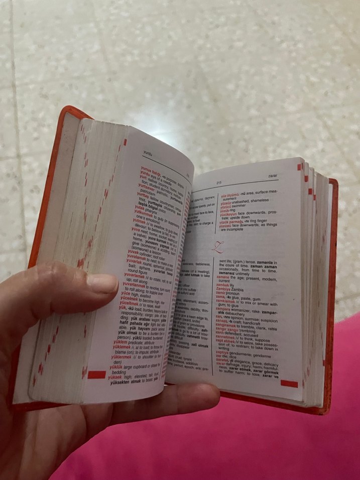 Renkli İngilizce-Türkçe Sözlük - Görsel 2