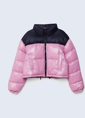 Stradivarius mont