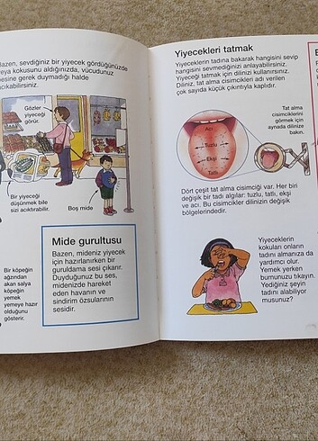  Beden Renk Tübitak Kitap 