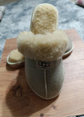 Lux ev terligi