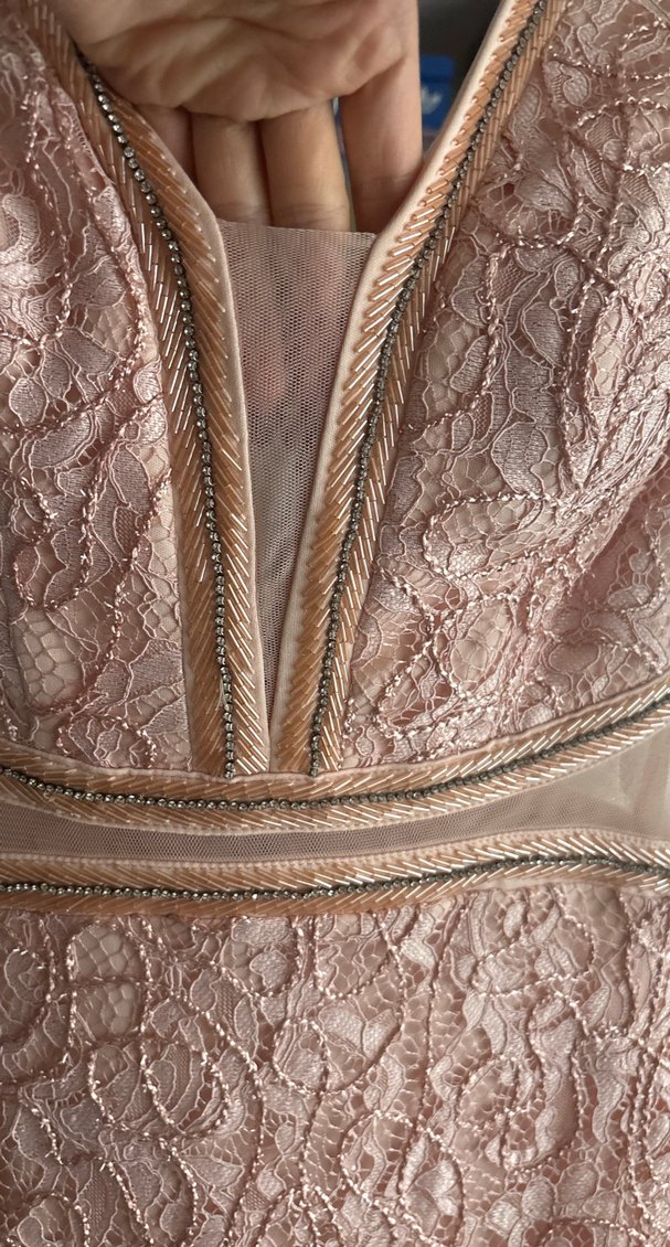 Somon pudra  İşlemeli Dantel Uzun Abiye Elbise - Görsel 3