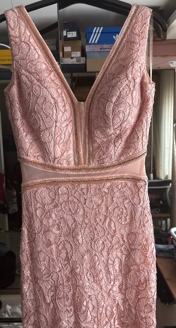 Somon pudra  İşlemeli Dantel Uzun Abiye Elbise - Görsel 2