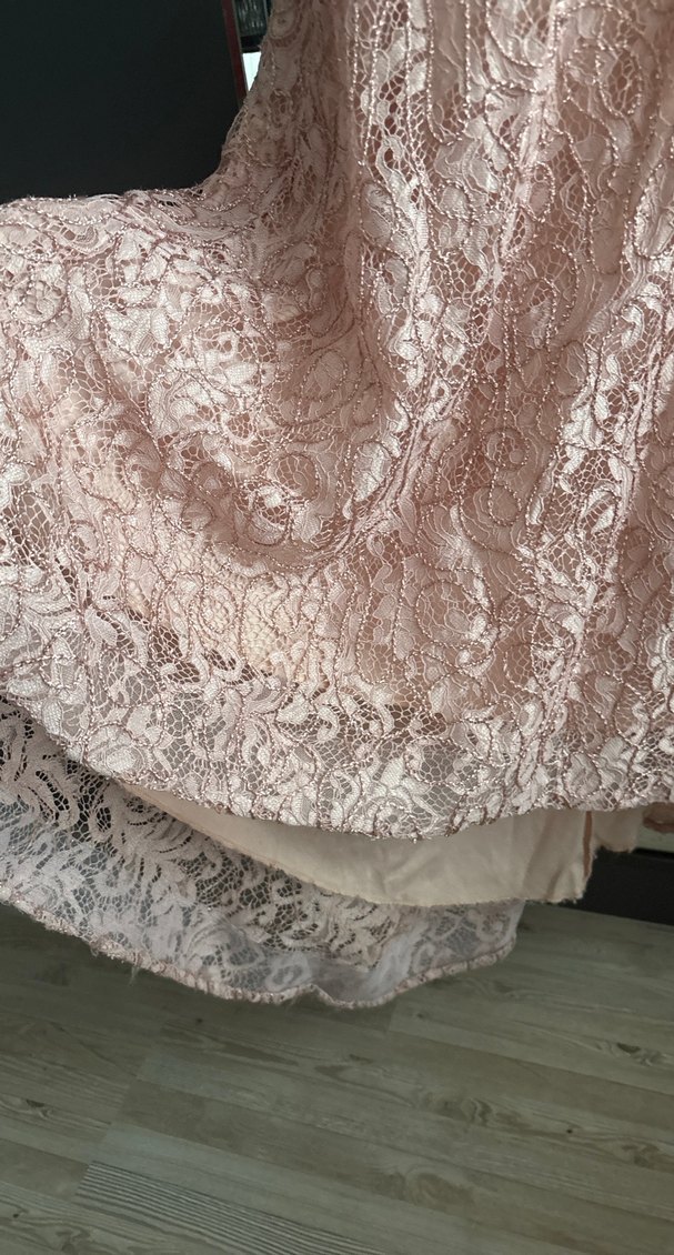 Somon pudra  İşlemeli Dantel Uzun Abiye Elbise - Görsel 4