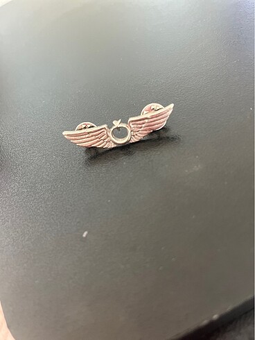  Beden Pilot brövesi