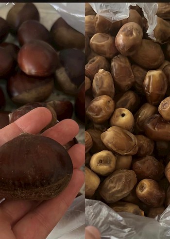 Sarı Yüksek Kalite Hurma Kutusu - Görsel 2