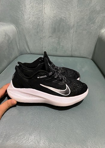 Air zoom wınflo, Pegasus