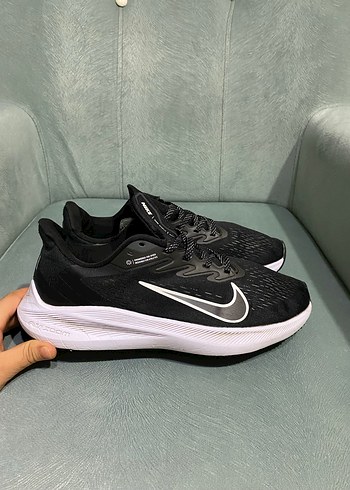 Air zoom wınflo, pegasus