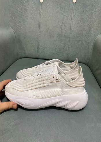 Adifom, ozelia - Görsel 3