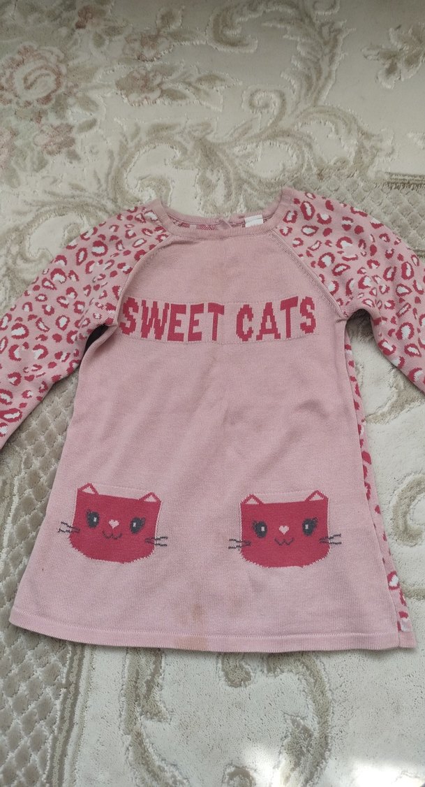 Pembe Kürklü Baskılı Sokak Stili Kedi Kıyafeti - Görsel 2