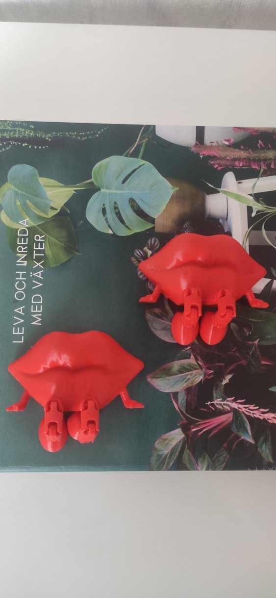 Kırmızı Renkli Figürin - Görsel 2