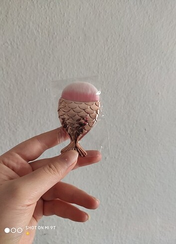 Küçük boy balık makyaj fırçası 