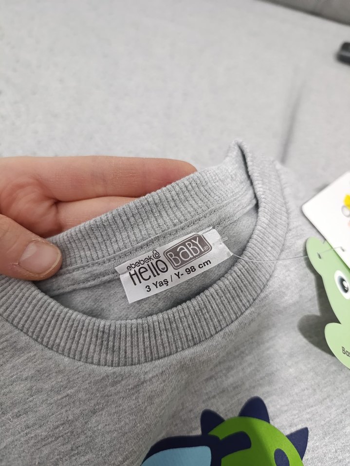 Erkek Çocuk Gri Sweatshirt Dinozor Baskılı - Görsel 2