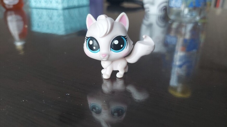 Miniş kedi 