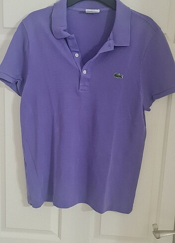 Erkek lacoste polo