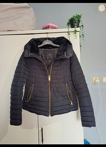 zara mont