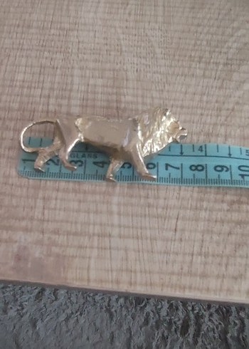 PİRİNÇ ASLAN KOLLEKSİYONLUK - Görsel 6