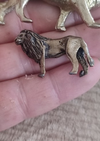 PİRİNÇ ASLAN KOLLEKSİYONLUK - Görsel 5