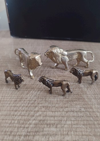 PİRİNÇ ASLAN KOLLEKSİYONLUK - Görsel 3