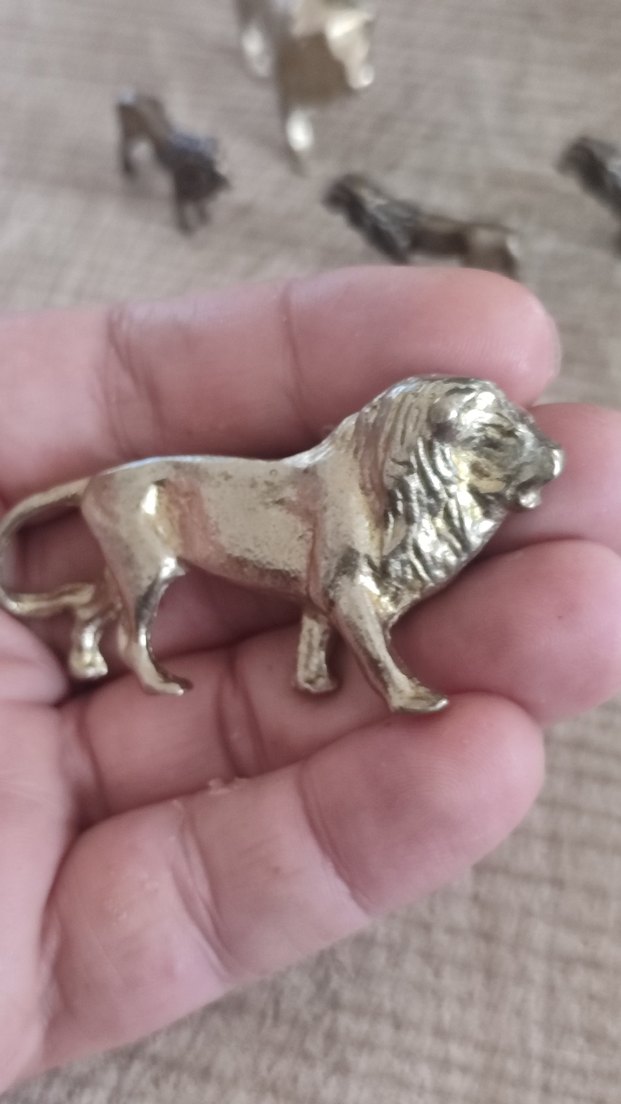 PİRİNÇ ASLAN KOLLEKSİYONLUK - Görsel 4