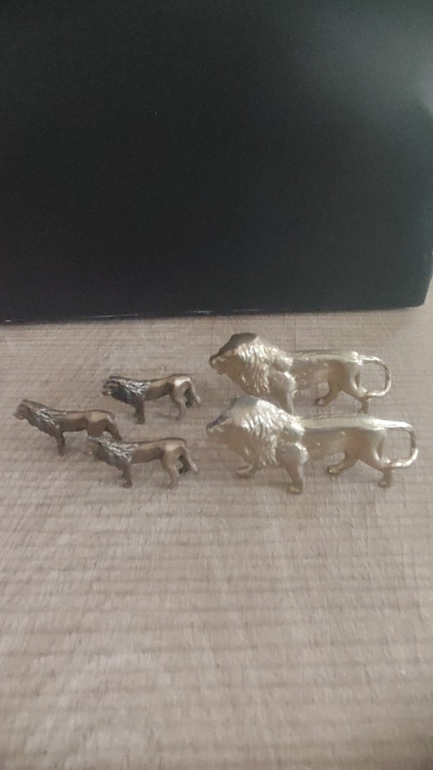 PİRİNÇ ASLAN KOLLEKSİYONLUK - Görsel 2