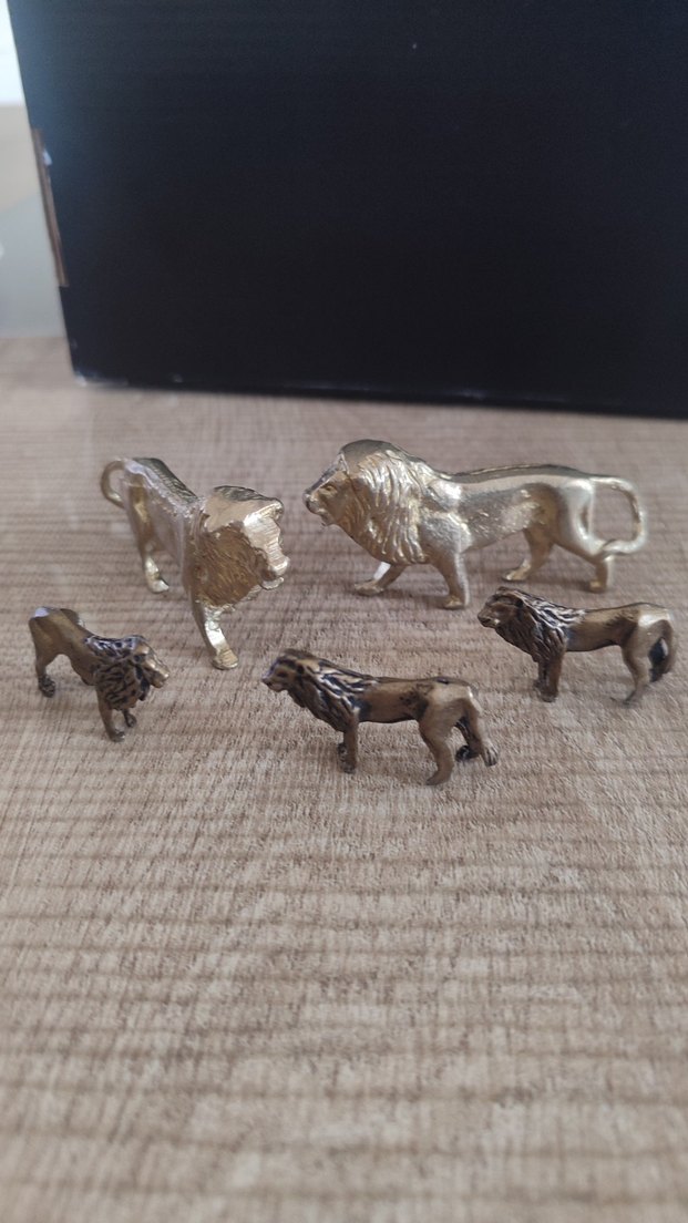 PİRİNÇ ASLAN KOLLEKSİYONLUK - Görsel 3